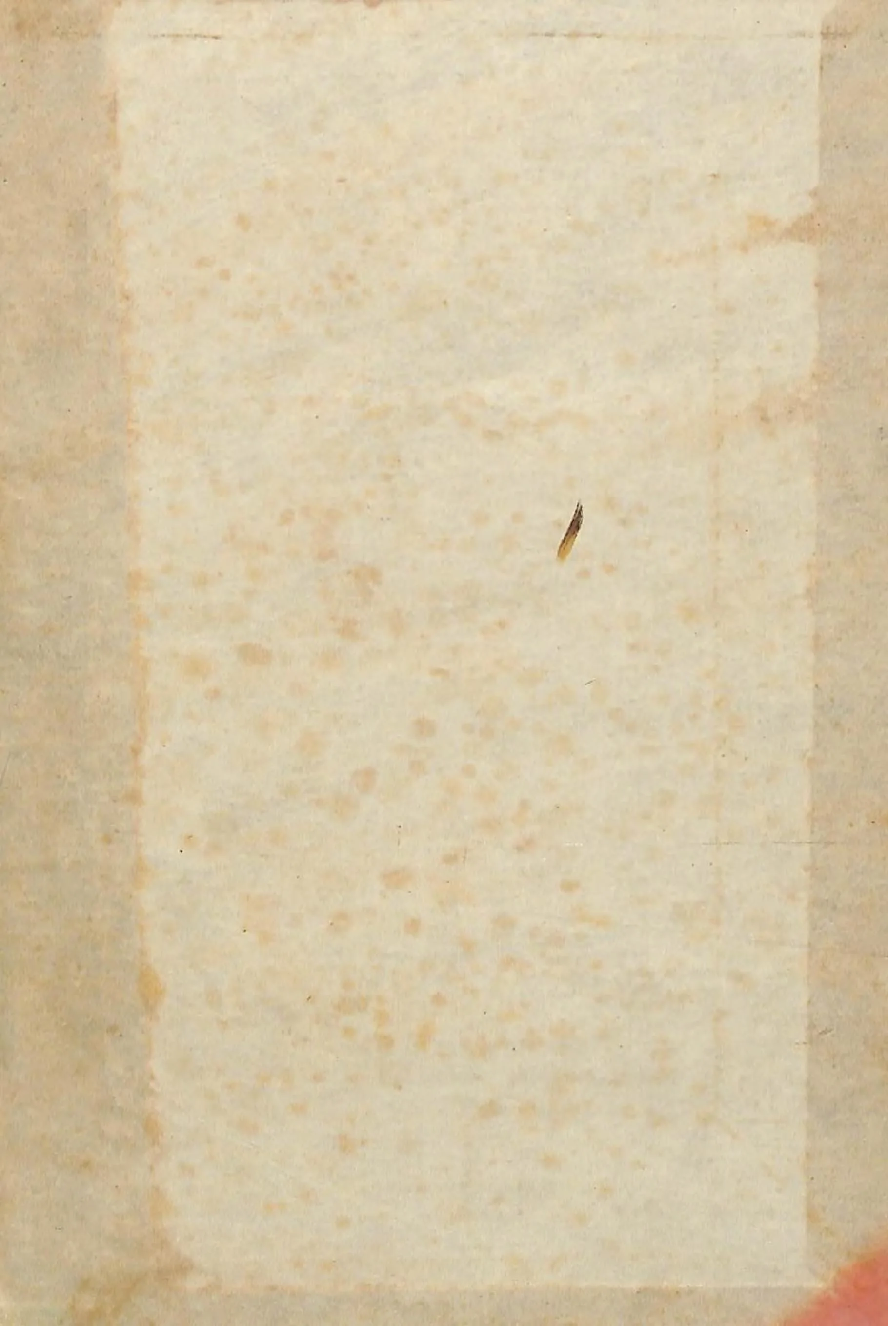 Quran Page 5